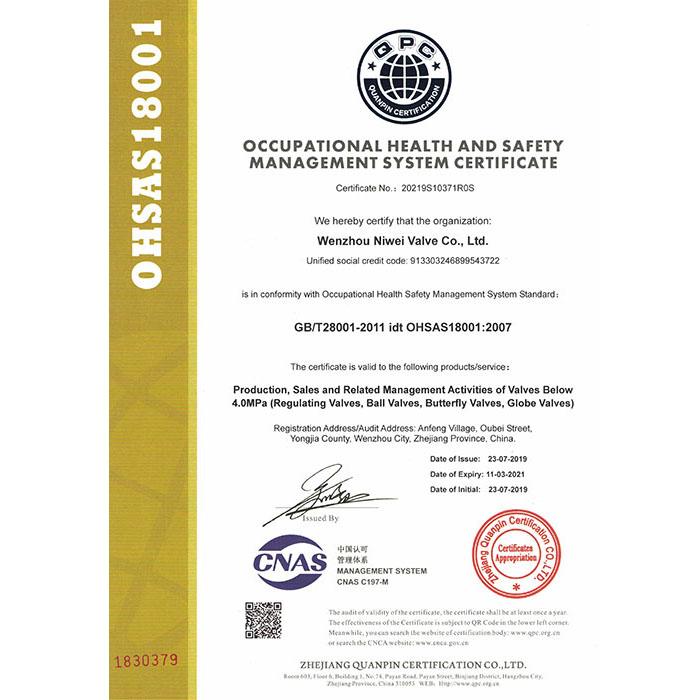 OHSAS18001:2007